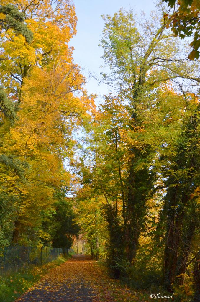 La voie verte en automne