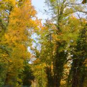 La voie verte en automne